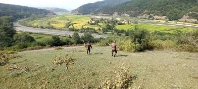 رفع تصرف زمین‌های ملی در روستای حلیمه جان رودبار