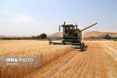 کاهش سن‌زدگی گندم در استان مرکزی/ مکانیزاسیون نیازمند تسهیلات بسیار