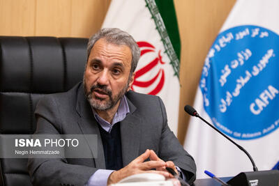 خروج بیش از ۱.۸ میلیون نفر از اتباع غیرمجاز از کشور در دولت چهاردهم/ بازگشت خانوادگی ۷۰ درصد اتباع