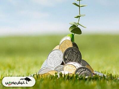 ارفع پیشنهاد افزایش سرمایه داد