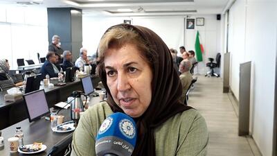 پیشنهادی برای امکان حضور بخش خصوصی ایران در اجرای پروژه‌های بین‌المللی