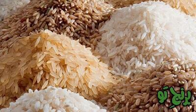 چرا برنج پاکستانی در بازار کم است؟ | قیمت مصوب این نوع برنج کیلویی چند است؟