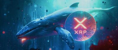 نهنگ‌های ریپل با خرید ۳۴۰ میلیون توکن XRP دوباره به بازار برگشتند