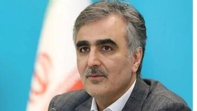 فرزین: آرامش به بازار ارز بازمی‌گردد