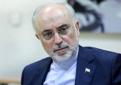 صالحی افشا کرد: جلیلی و احمدی‌نژاد از دستور رهبر انقلاب سرپیچی کردند +ویدیو