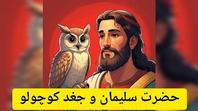 داستان حضرت سلیمان و جغد کوچولو | درخواست عجیب همسر سلیمان از پیامبری که زبان پرنده ها را می دانست