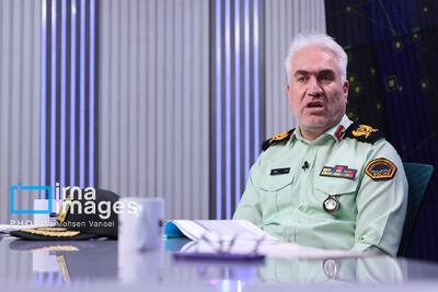 بازنگری قانون بکارگیری سلاح امسال تعیین تکلیف می‌شود/ استخدام ۲۰۰ محیط‌بان جدید