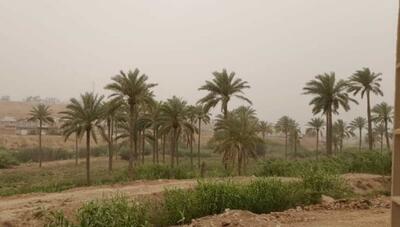هواشناسی خوزستان هشدار داد؛ گرد و خاک موقتی عصر امروز در برخی مناطق دور از انتظار نیست
