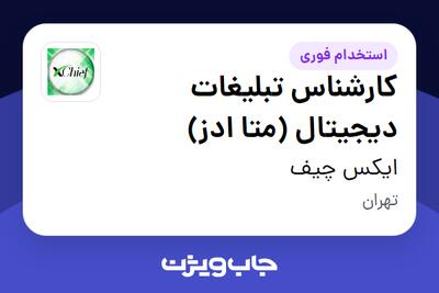 استخدام کارشناس تبلیغات دیجیتال (متا ادز) در ایکس چیف