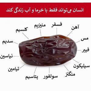 خرما و آب: ترکیبی ساده ؛ انرژی بی پایان