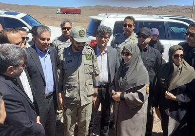 ‌شینا انصاری: بیشترین تهدید یوز از سوی انسان است‌ نه طبیعت - تسنیم