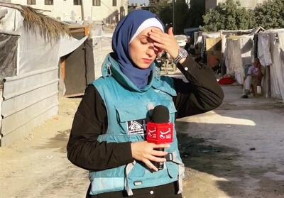 شمسایی: خبرنگار تسنیم در غزه جلوه‌ای از مبارزه فعال و‌ موثر‌ علیه اشغالگران را نشان داد - تسنیم