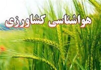 ضرورت تسریع در برداشت محصولات کشاورزی و انتقال به انبار - تسنیم