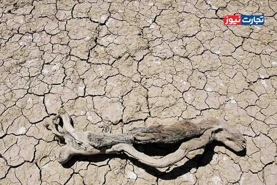 نقش خشکسالی‌ های ناگهانی در آتش‌سوزی‌های مرگبار اسپانیا 2025
