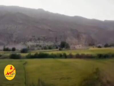 جاده‌ای سرسبز با عطر شالیزارها در قلب خراسان