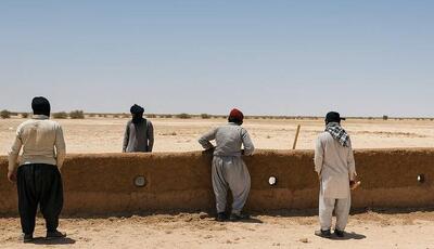 ضرورت اجرای بادشکن های غیر زنده در تالاب هامون برای نجات سیستان