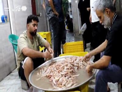 بازار میگو در بندر دیر