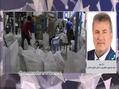 واردات برنج در بازه برداشت ممنوع شد؟