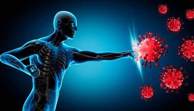۴ خوراکی جادویی برای تقویت سیستم ایمنی بدن