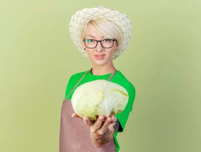 کلم پروبیوتیک چیست؟ راز سلامتی شکم در یک لقمه کلم!