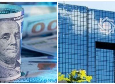افشای راز صعودی شدن تورم از زبان دکتر فرزین - اکونیوز