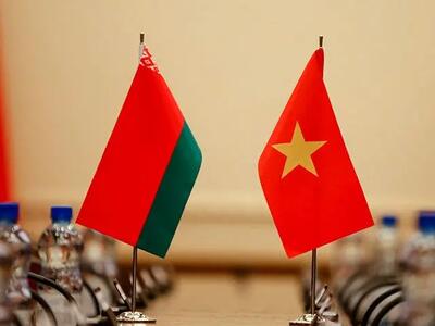 بلاروس و ویتنام برای گفت‌‍وگوهای مفصل سیاسی آماده می‌شوند