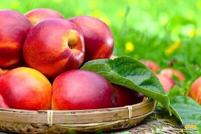 میوه‌ای بی‌نظیر برای تقویت کبد و تصفیه خون
