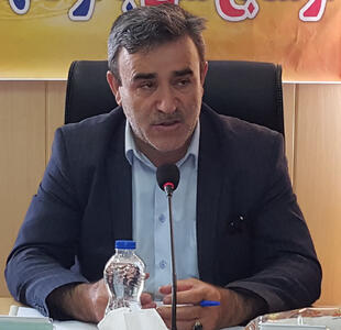 جریمه ۷میلیارد تومانی برای قاتل درختان جنگلی نمین/ متخلف روانه زندان شد