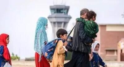 ایران فقط ظرفیت پذیرش ۳ میلیون تبعه خارجی را دارد | جهان نیوز
