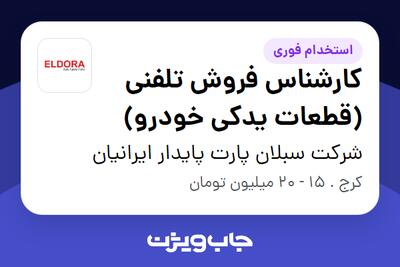 استخدام کارشناس فروش تلفنی (قطعات یدکی خودرو) - خانم در شرکت سبلان پارت پایدار ایرانیان
