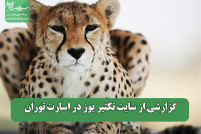 گزارشی از سایت تکثیر یوز در اسارت توران