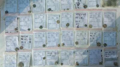 کشف منطقه تاریخی در اصفهان + ۱۰۰ سکه تاریخی و نایاب در کمرزرین اصفهان