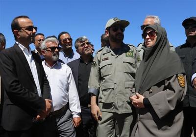 معاون رئیس جمهور: ایمن‌سازی مسیر یوزپلنگ ایرانی در دستور کار جدی قرار دارد - تسنیم
