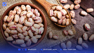 قیمت لوبیا چیتی