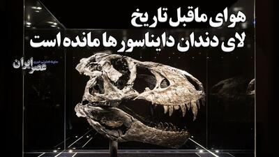 کشف هوای ماقبل تاریخ لای دندان دایناسورها مانده است (فیلم)