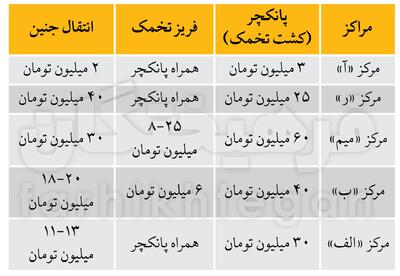 قیمت‌های نجومی در مراکز درمان ناباروری / برای رحم اجاره‌ای بیش از یک میلیارد تومان پول لازم دارید + جدول | اقتصاد24