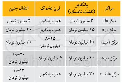 قیمت‌های نجومی در مراکز درمان ناباروری:  ممکن است بیش از یک میلیارد تومان پیاده شوید