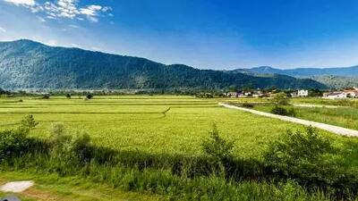 خبر خوش برای مالکان زمین‌های زراعی/ تبدیل زمین به ویلا فقط با چند مرحله ساده!