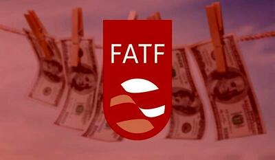 تکذیب لو رفتن اطلاعات صرافی‌ های ایرانی از مسیر FATF/ هادی خانی: برخی اصرار بر ادعای کذب دارند