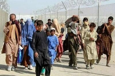 سخنگوی دولت: طبق برآورد‌ها حدود ۶ میلیون اتباع در کشور داریم که خروج آن‌ها، بر ساماندهی و تنظیم مشاغل تأثیرگذار است/ خروج تدریجی اتباع ادامه خواهد داشت