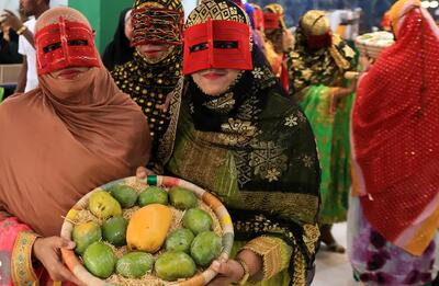 تصاویر؛ جشن شکرگزاری انبه در میناب