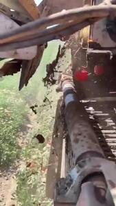 زیباییِ کار دستگاه برداشت گوجه فرنگی در جداسازی محصول از خاک و ساقه /فیلم