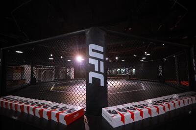 آماده‌باش برای مبارزات UFC در کاخ سفید - ایران ویو 24