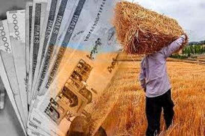 پرداخت ۹۳ درصد مطالبات گندمکاران کردستانی/ سهم ۱۰ درصدی استان از خرید تضمینی کشور