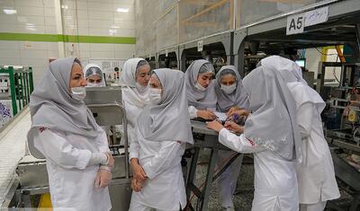 معاون وزیر کار: قراردادهای موقت سهم بالایی دارند؛ باید به سمت بلندمدت رفت