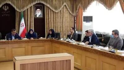 معاون اجرایی رئیس‌جمهور: مخالف مازوت سوزی هستیم + فیلم