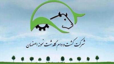 انتقال ۲۰۰ رأس گوساله به پروژه شیروان توسط زگلدشت