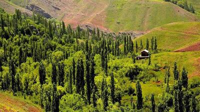 زیباترین جاهای دیدنی اطراف تهران برای یک سفر یک روزه تابستانی خاطره انگیز