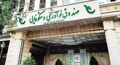 صندوق نوآوری و شکوفایی: قلب تپنده اقتصاد دانش‌بنیان