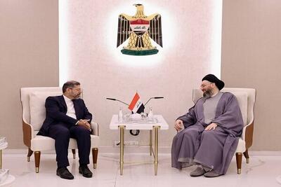 تاکید حکیم بر دور نگه‌داشتن منطقه از هرگونه تهدید